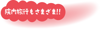 院内旅行さまざま!!